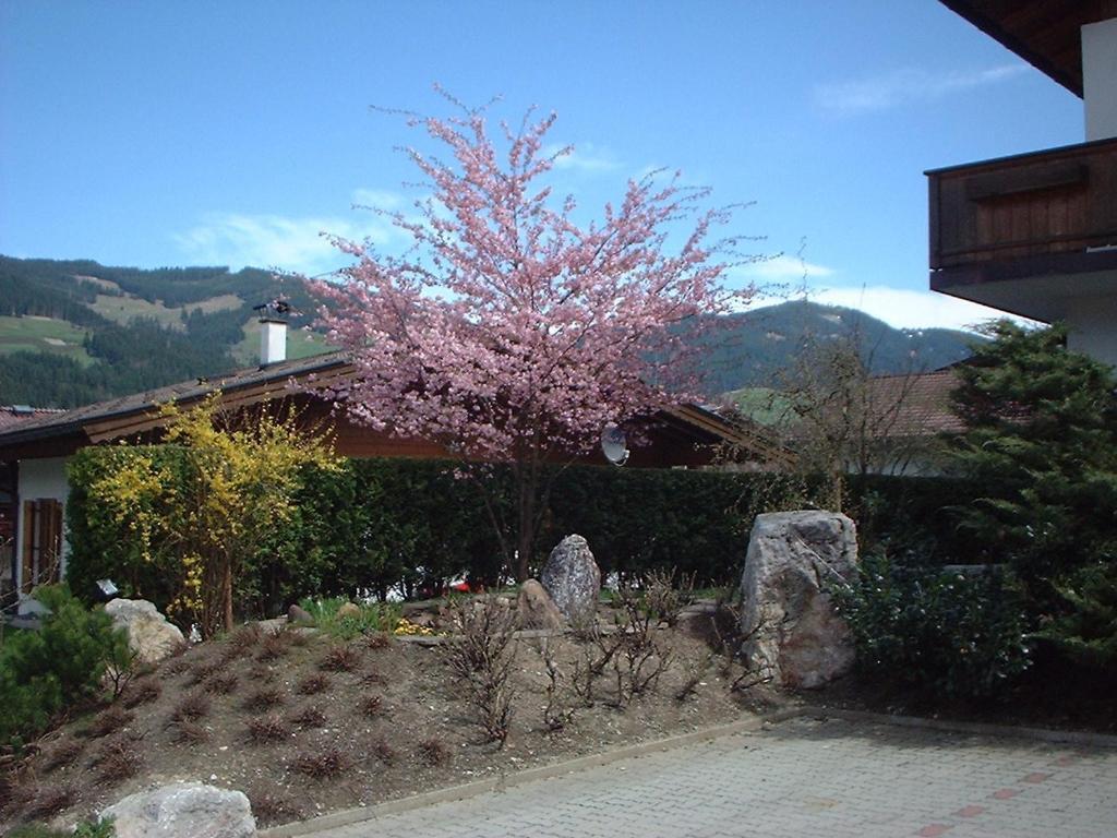 Pension Fuchs Brixen im Thale Bagian luar foto